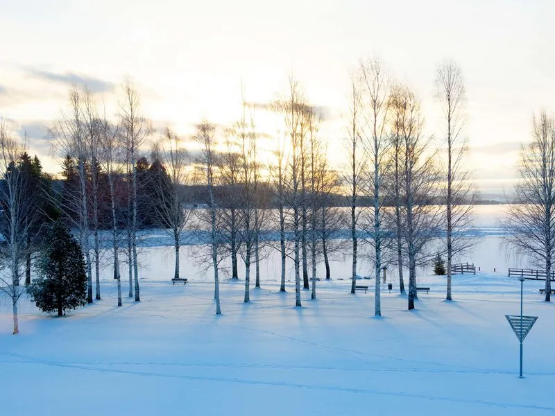 Scandic Bollnäs · Anbieterbild von TUI