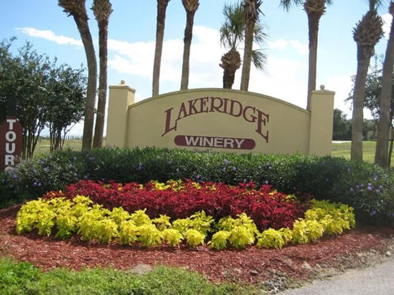 Holiday Inn Express Clermont · Anbieterbild von TUI