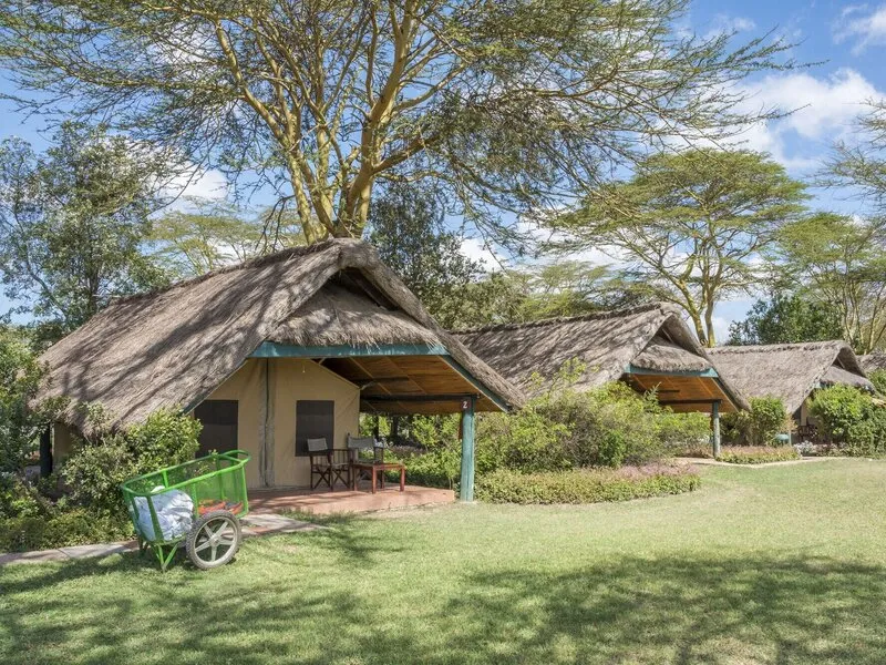 Sweetwaters Serena Camp · Anbieterbild von TUI