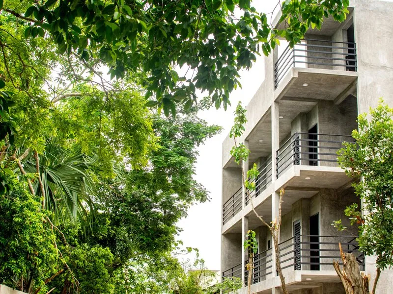 Cenote Casa Tortuga Tulum · Anbieterbild von TUI