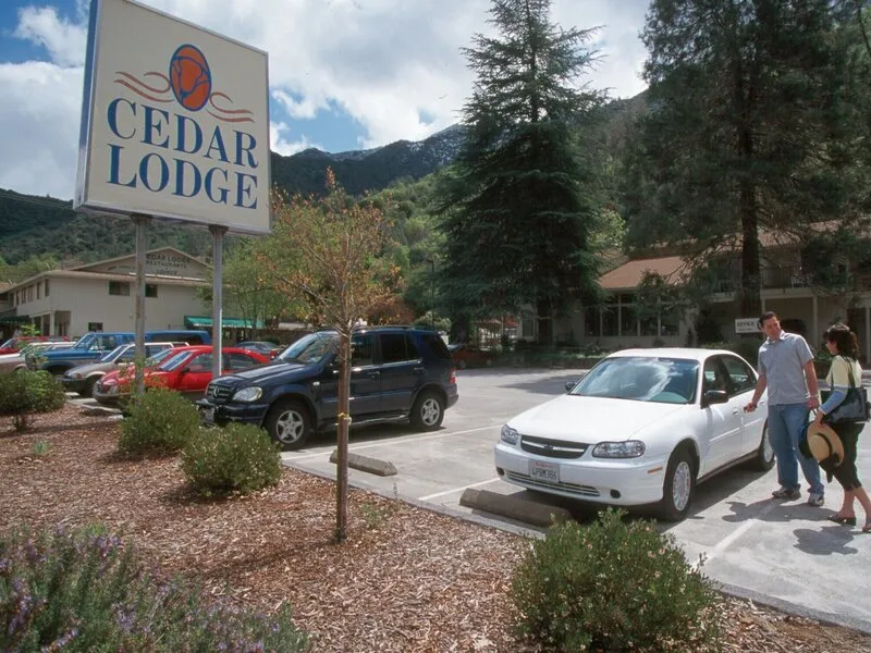 Yosemite Cedar Lodge · Anbieterbild von TUI