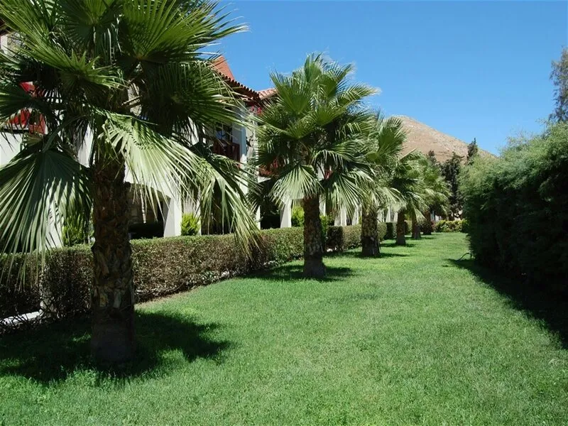Tiana Beach Resort · Anbieterbild von TUI
