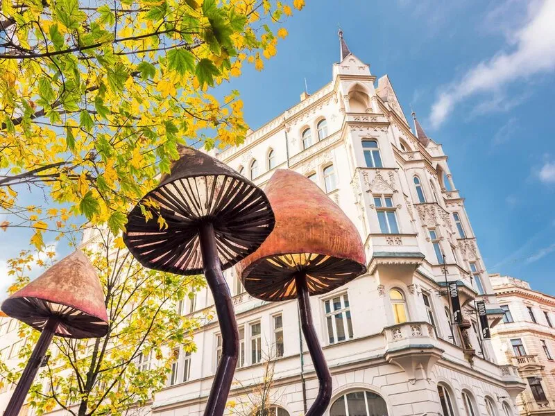 Mooo Downtown · Anbieterbild von TUI