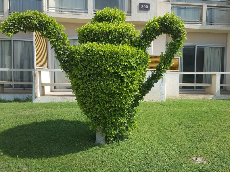 Pyramids Park Resort · Anbieterbild von TUI