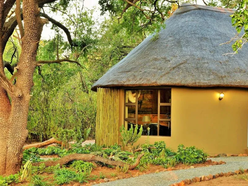 Black Rhino Game Lodge · Anbieterbild von TUI