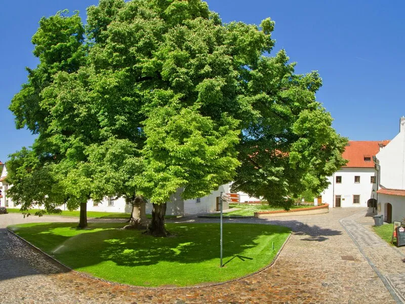 Hotel Monastery · Anbieterbild von TUI