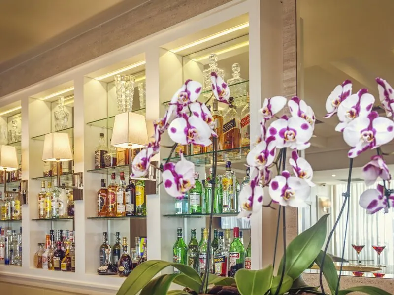 Windsor California Hotel · Anbieterbild von TUI