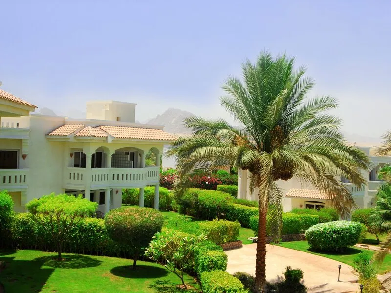 Naama Bay Hotel & Resort · Anbieterbild von TUI