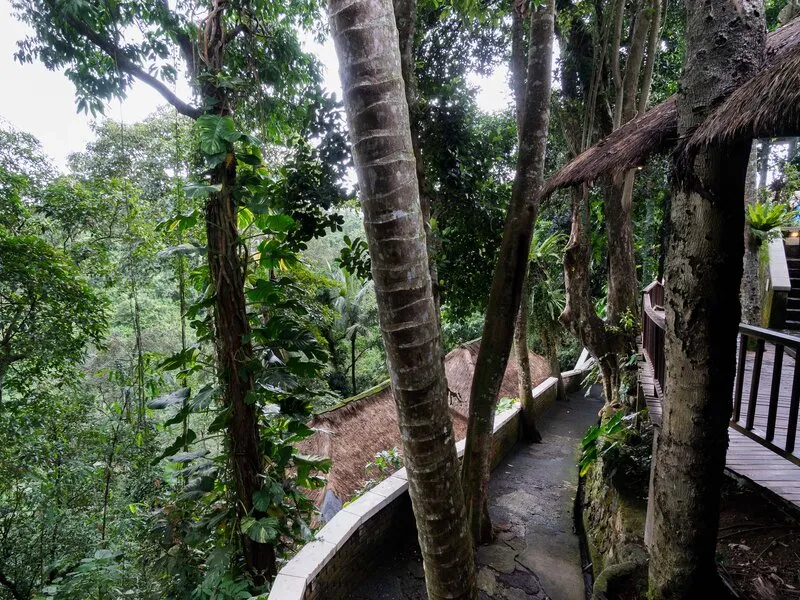Natura Resort and Spa · Anbieterbild von TUI