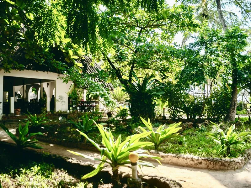 Mambo Ocean Resort · Anbieterbild von TUI