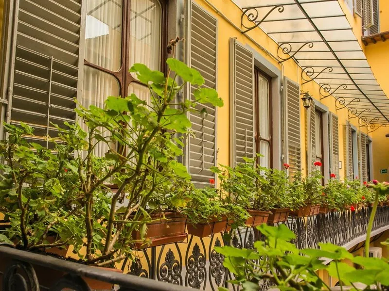 Palazzo Alfieri · Anbieterbild von TUI