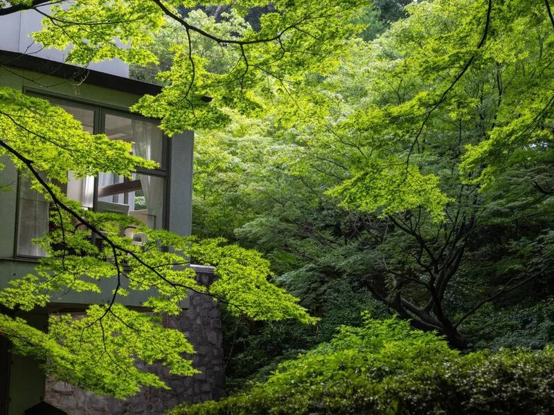 Sheraton Miyako Hotel Tokyo · Anbieterbild von TUI