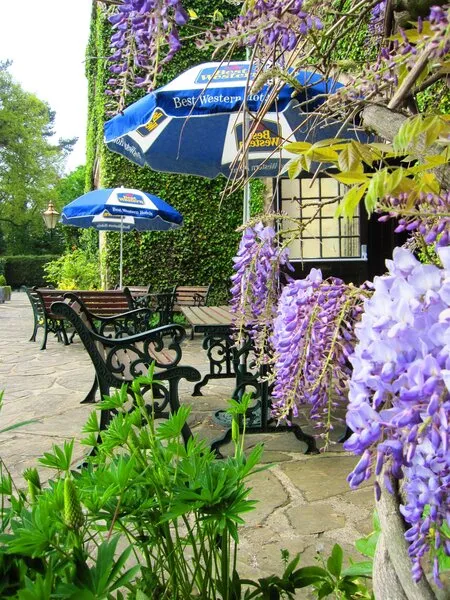 Best Western Weston Hall Hotel · Anbieterbild von TUI