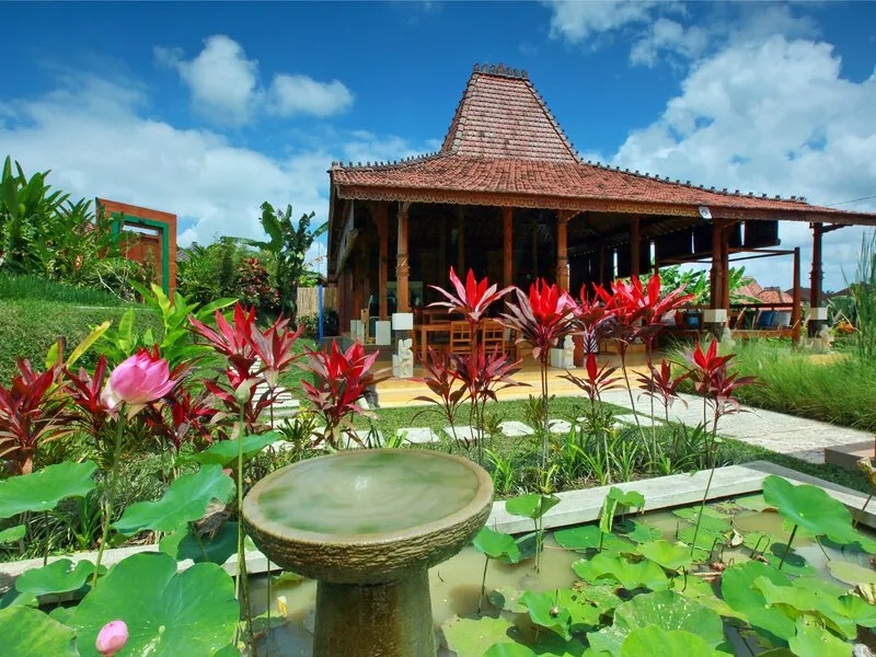 Ubud Heaven Penestanan · Anbieterbild von TUI