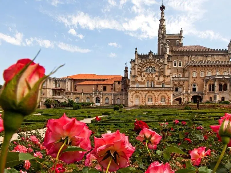 Bussaco Palace · Anbieterbild von TUI