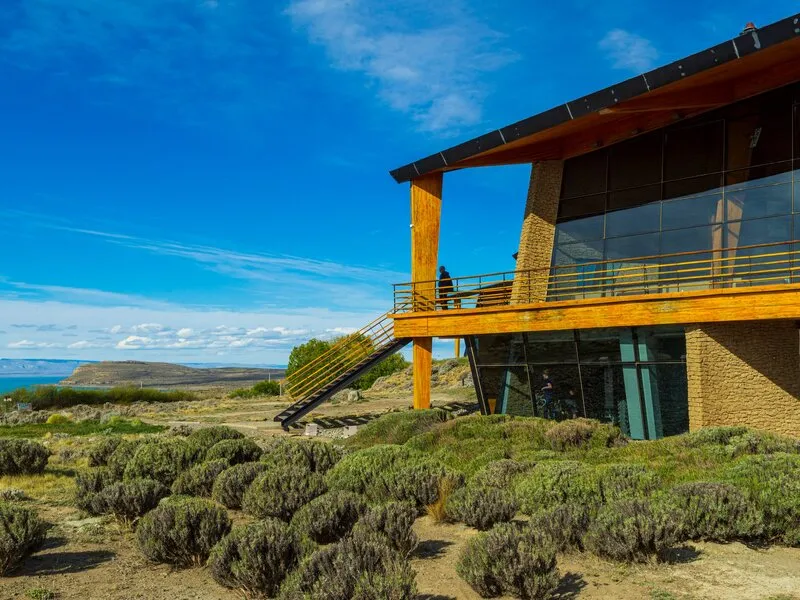 Design Suites Calafate · Anbieterbild von TUI