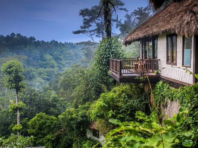Nandini Jungle by Hanging Gardens · Anbieterbild von TUI