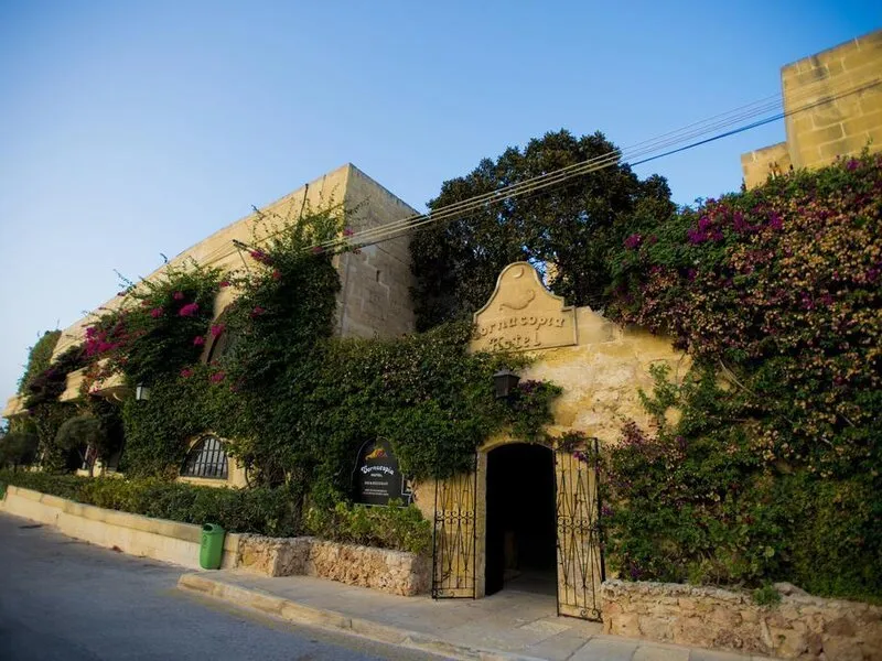 Cornucopia Hotel · Anbieterbild von TUI