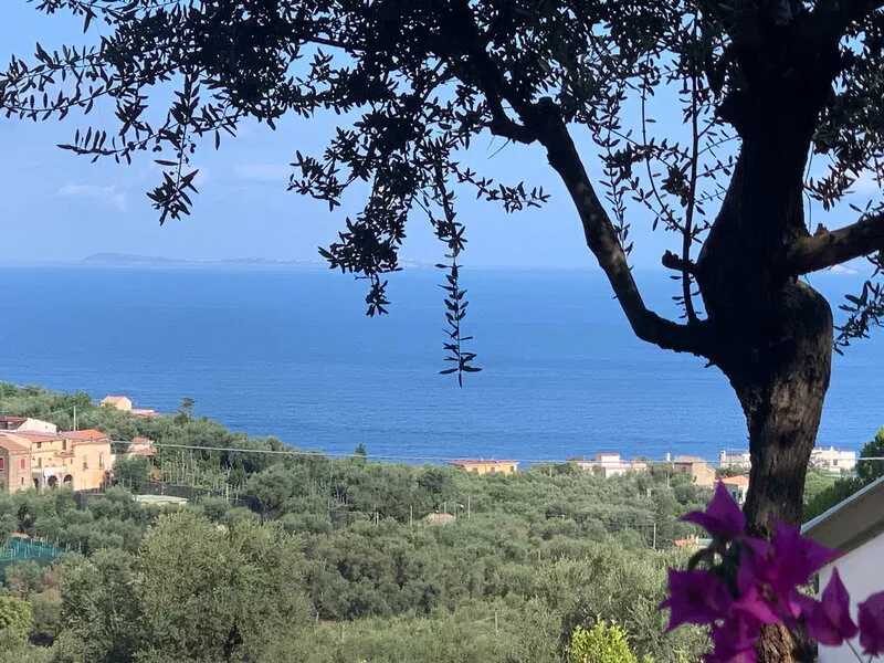 Villa Giovanna · Anbieterbild von TUI