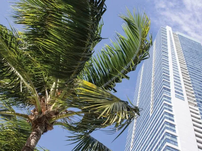 Four Seasons Hotel Miami · Anbieterbild von TUI