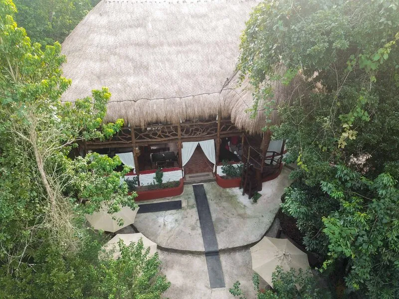 Jolie Jungle · Anbieterbild von TUI
