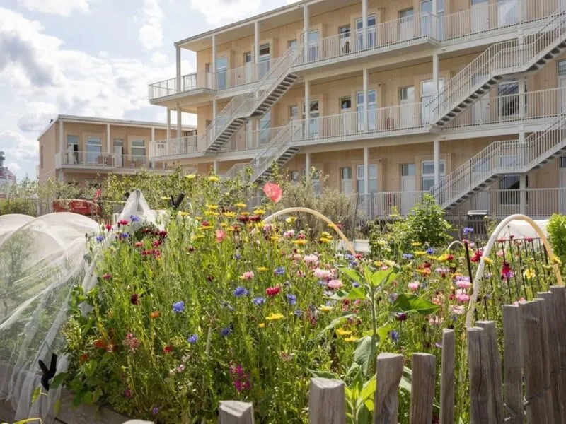 Waterfront Cabins · Anbieterbild von TUI