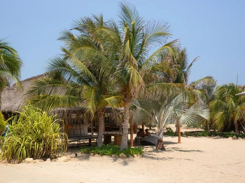 El Origen Villas & Spa · Anbieterbild von TUI