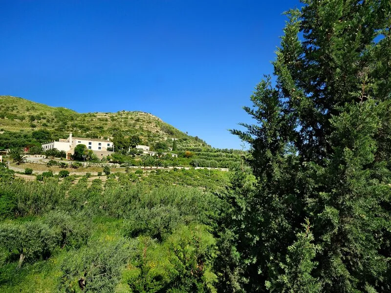 Kallikoros Hotel - Spa & Resort · Anbieterbild von TUI