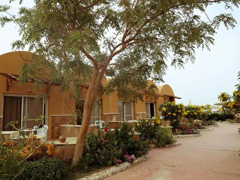 Silver Beach Redsea Resort · Anbieterbild von TUI