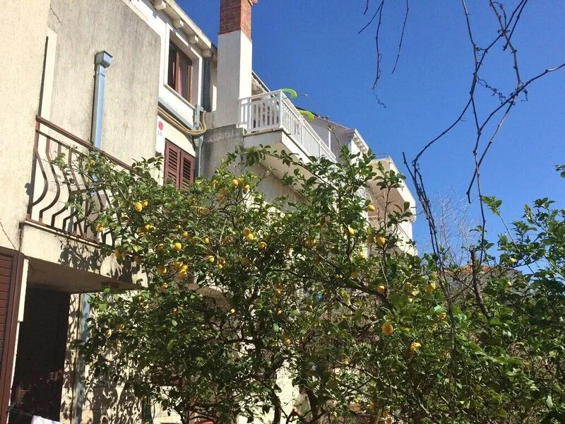 Apartments Ivanka · Anbieterbild von TUI