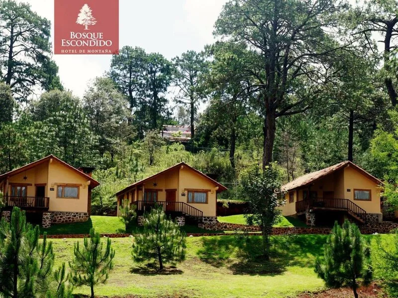 Bosque Escondido Hotel De Montaña · Anbieterbild von TUI