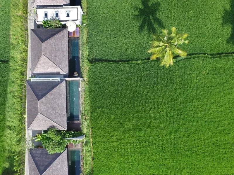 Kaamala Resort Ubud · Anbieterbild von TUI