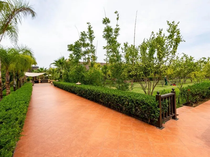 The Lemonary Marrakech · Anbieterbild von TUI