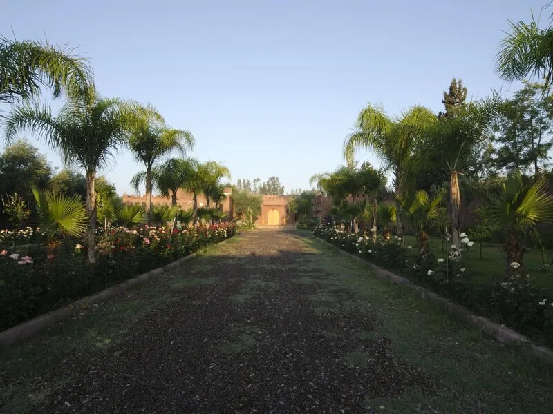 Palais Riad Berbere Bio Hotel and Spa · Anbieterbild von TUI