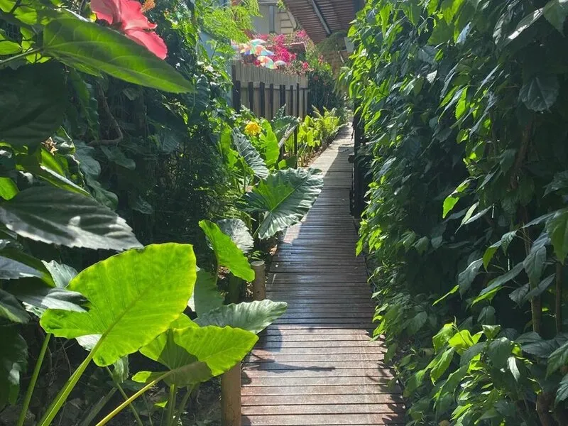 Casa Berna · Anbieterbild von TUI