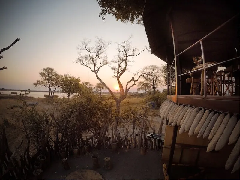 Jackalberry Tented Camp · Anbieterbild von TUI