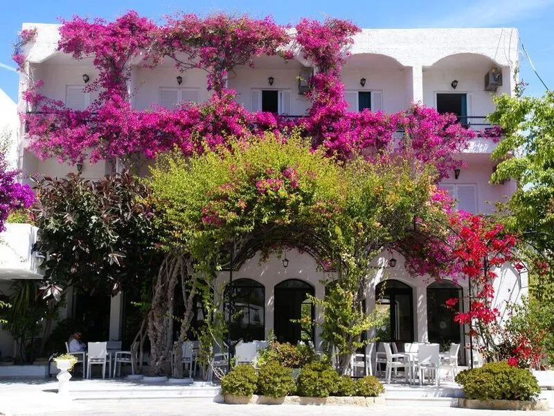 Skala Hotel Patmos · Anbieterbild von TUI