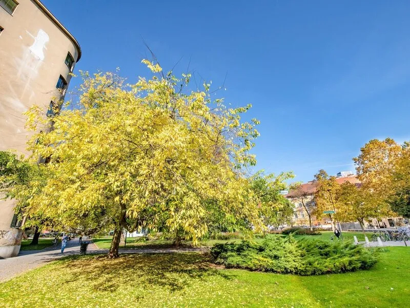 Urban Center Boutique Hotel · Anbieterbild von TUI