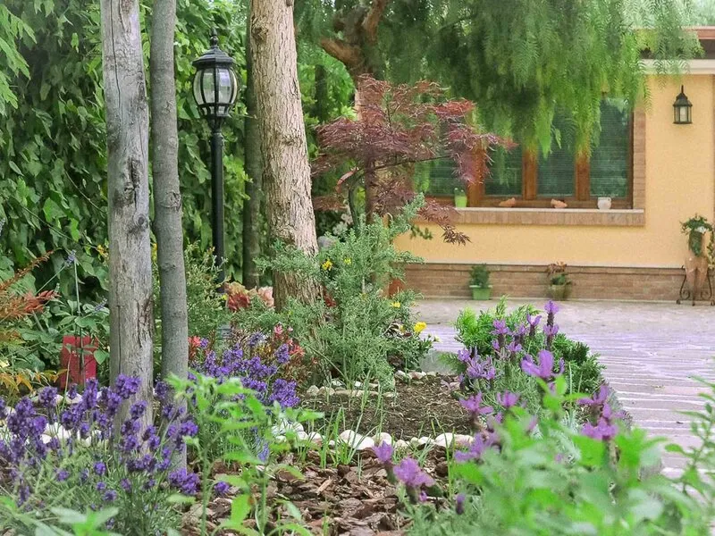 B&B A Casa di Titty · Anbieterbild von TUI