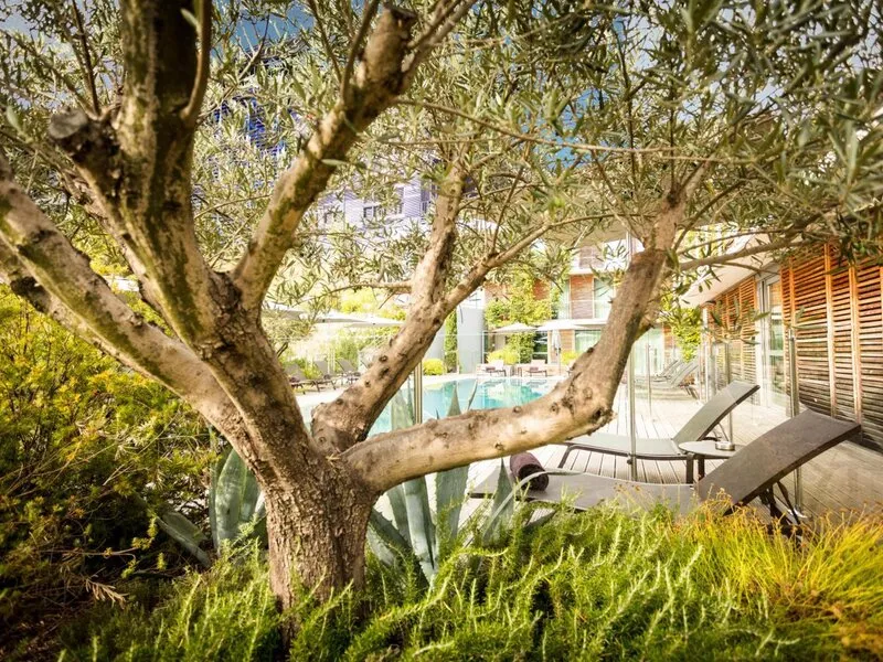 Courtyard By Marriot Montpellier · Anbieterbild von TUI