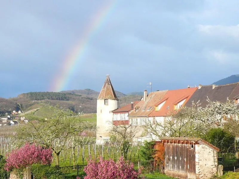 Hotel Munsch · Anbieterbild von TUI