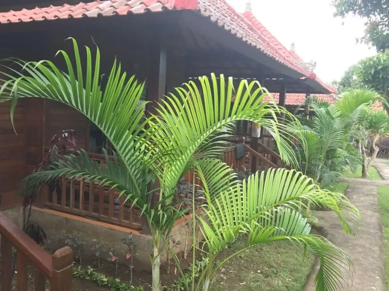 Island Garden Huts Lembongan · Anbieterbild von TUI
