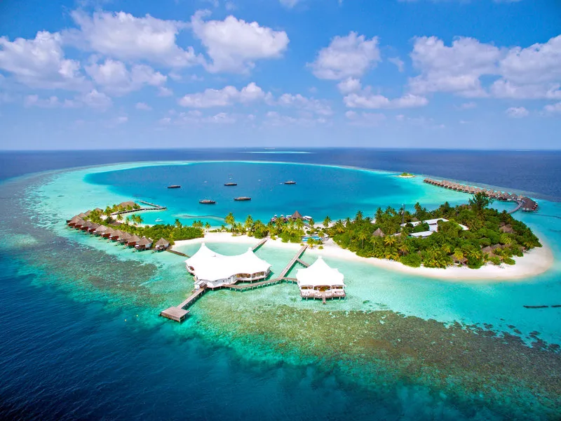Safari Island · Anbieterbild von TUI