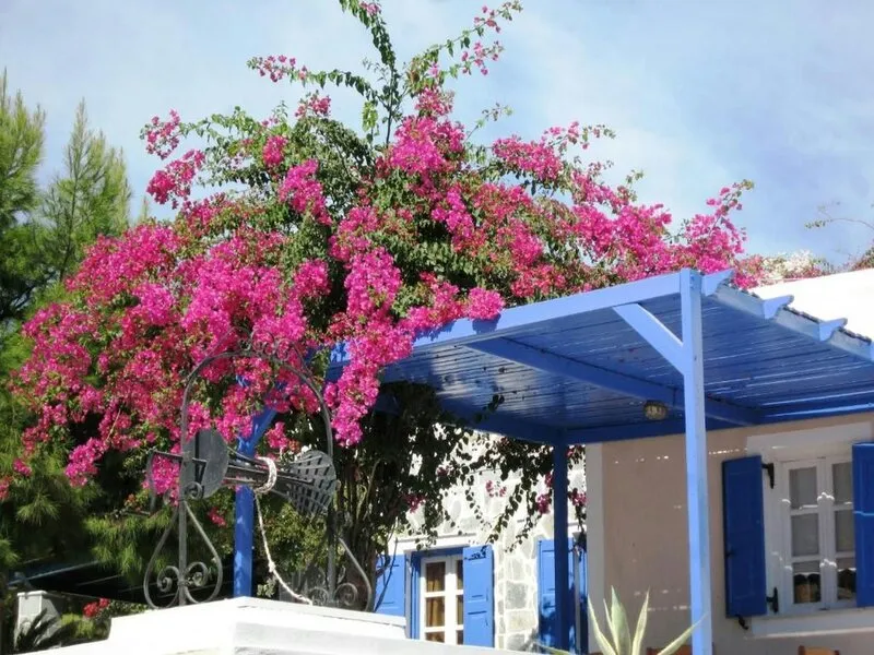 Paradise Resort · Anbieterbild von TUI