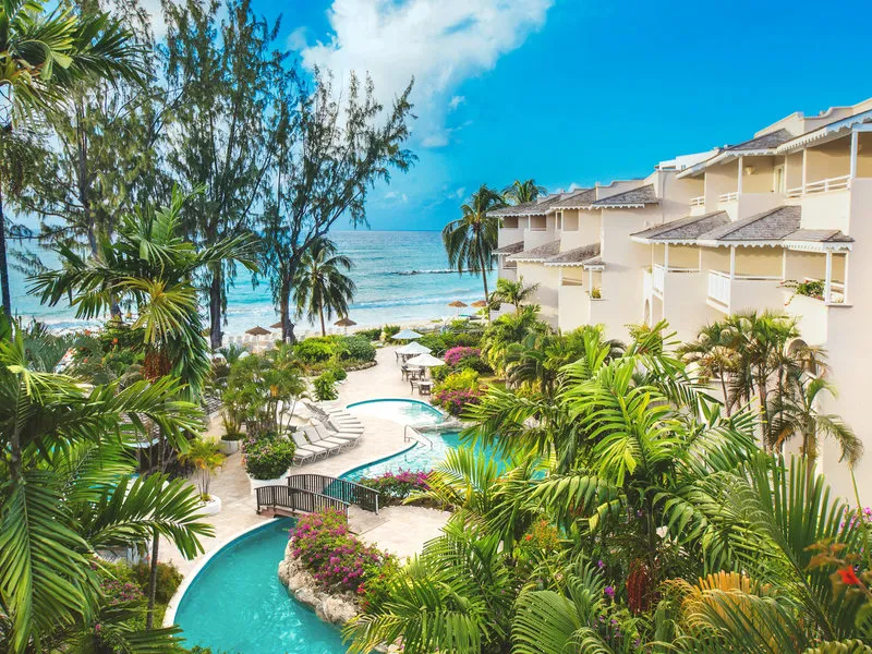 Bougainvillea Barbados · Anbieterbild von TUI