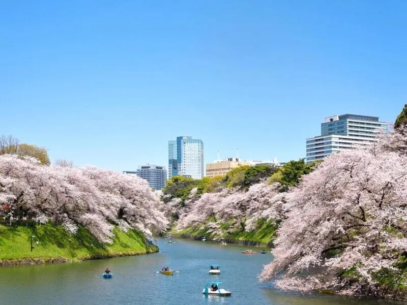 Keio Presso Inn Tokyo Kudanshita · Anbieterbild von TUI