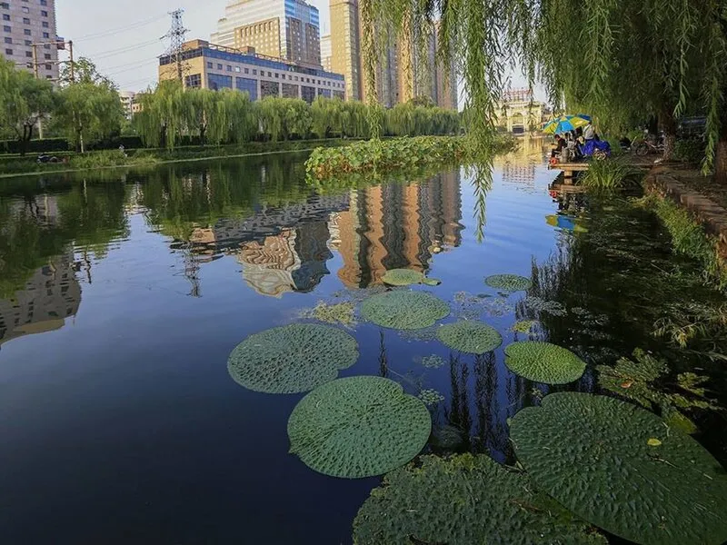 The Kunlun Beijing · Anbieterbild von TUI