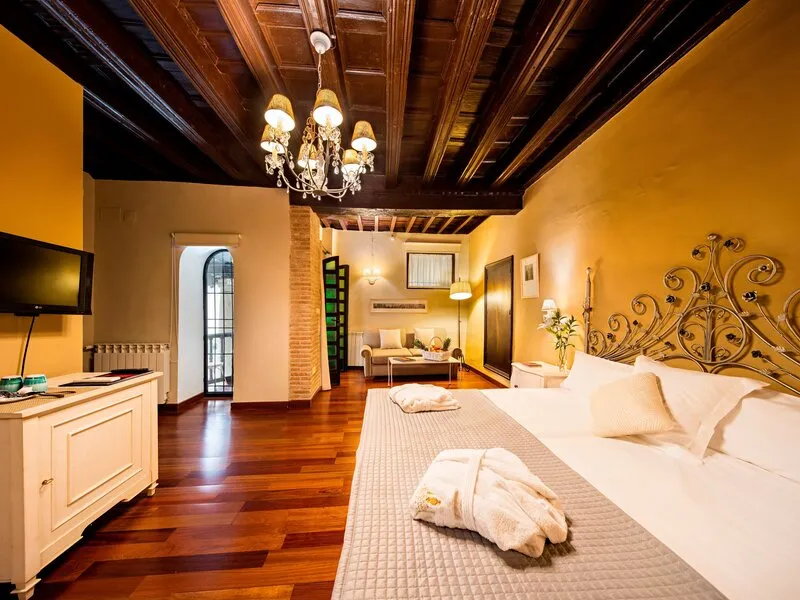 Palacio Mariana Pineda Hotel - MUSEO S.XVII · Anbieterbild von TUI