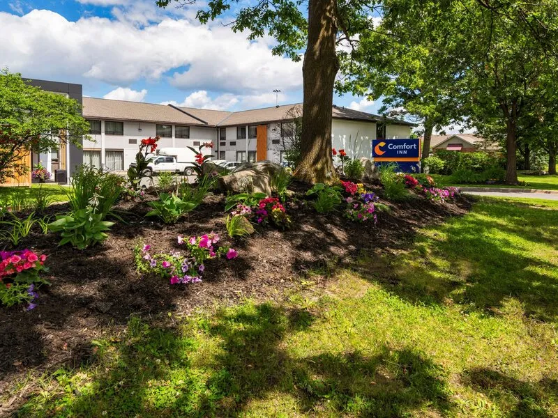 Comfort Inn West · Anbieterbild von TUI