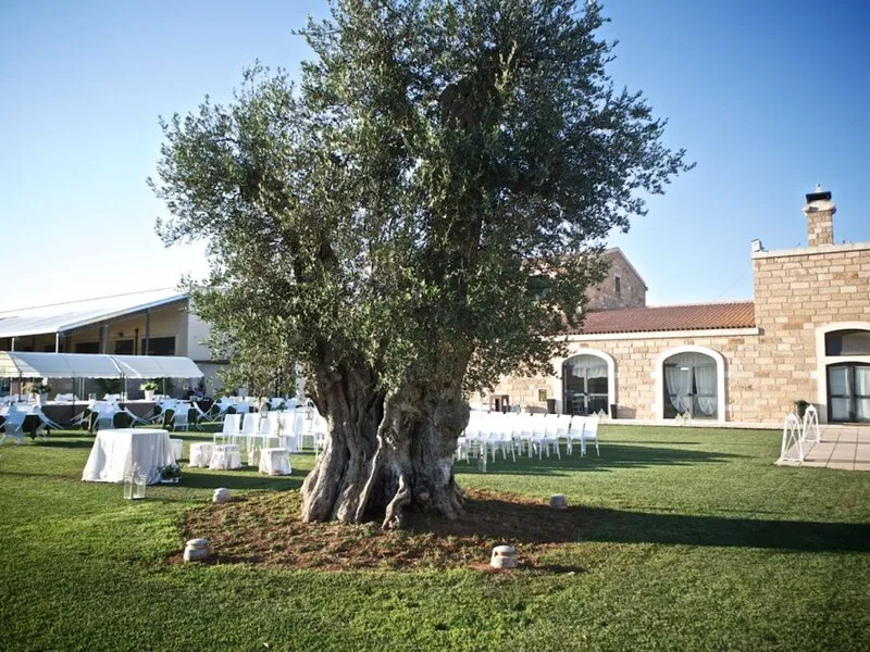 Masseria Stali · Anbieterbild von TUI